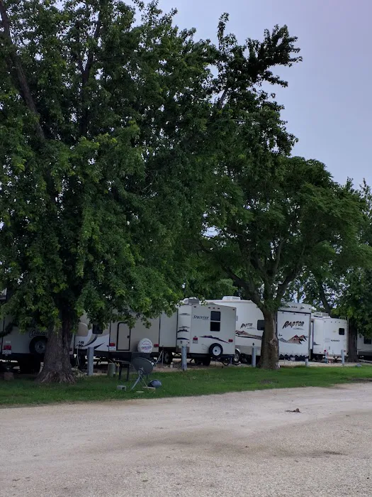 Sunflower RV Patch Picture 7