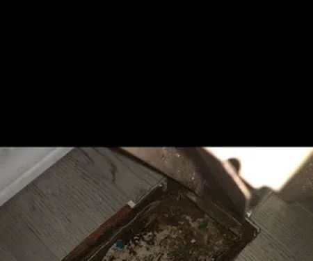 Shamrock place trailer park