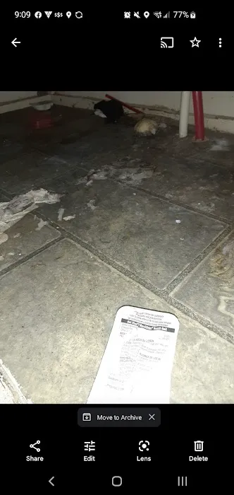 Shamrock place trailer park Picture 2