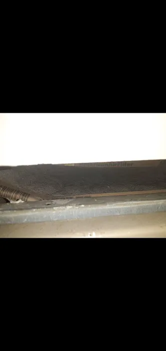 Shamrock place trailer park Picture 4