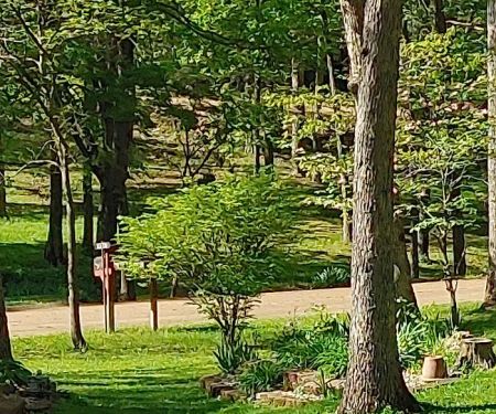 Lakewood Mobile Home Community