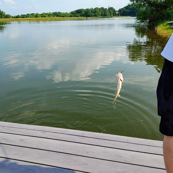 Lakewood Mobile Home Community Picture 4