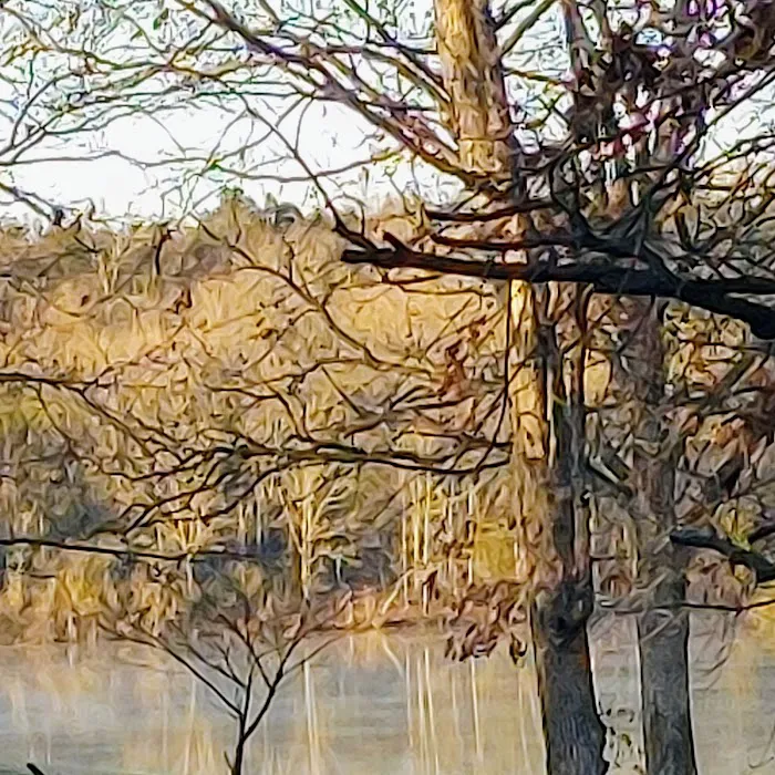 Lakewood Mobile Home Community Picture 8