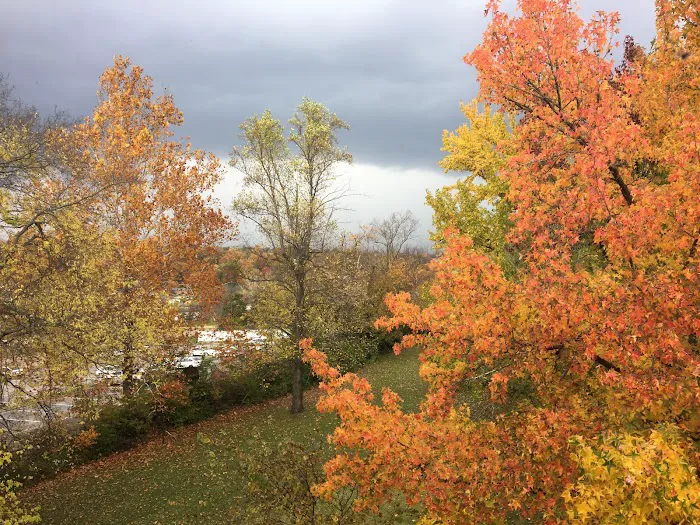 Sir Williams Court Mobile Home Park Picture 3