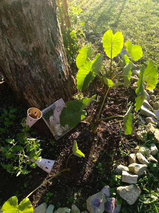 Avery Mobile Home Park Picture 1