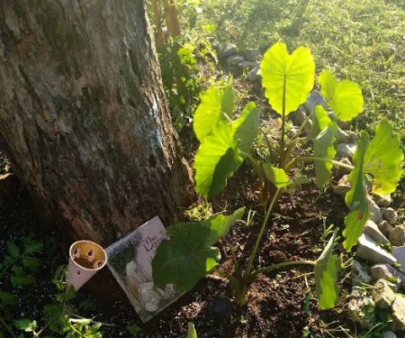 Avery Mobile Home Park