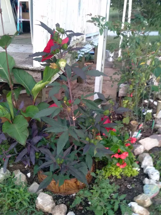 Avery Mobile Home Park Picture 5