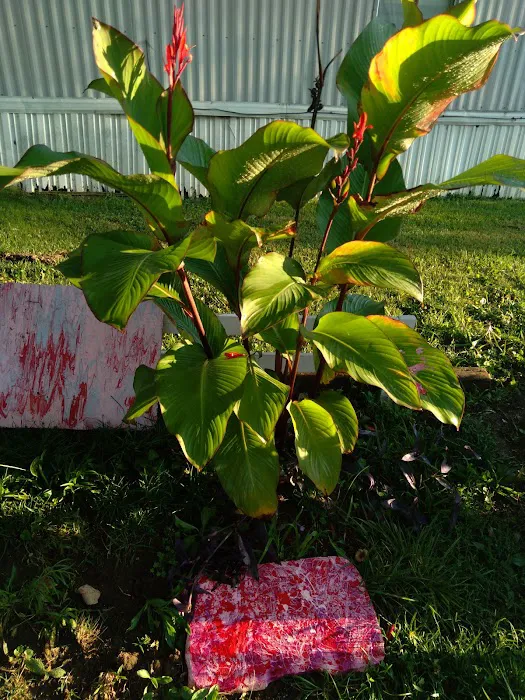 Avery Mobile Home Park Picture 4