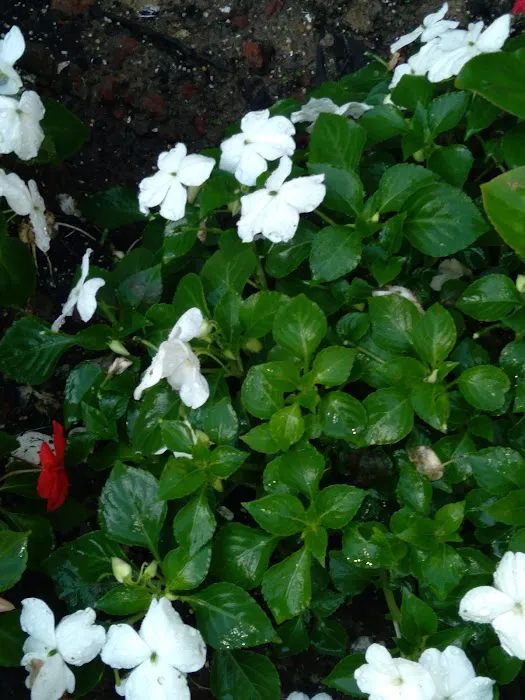 Avery Mobile Home Park Picture 6