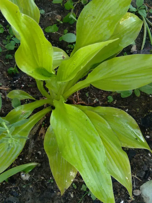 Avery Mobile Home Park Picture 8