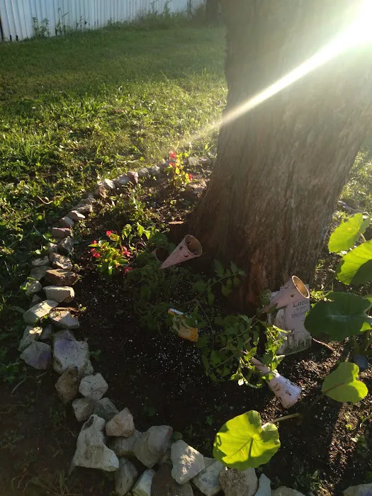 Avery Mobile Home Park Picture 9