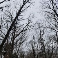 Victoria Gardens MHC ico