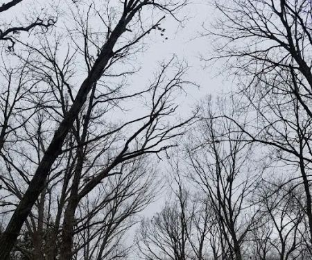 Victoria Gardens MHC