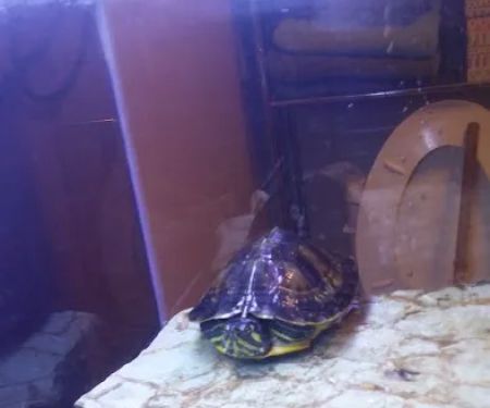 Country Aire Manor Mobile Home Park