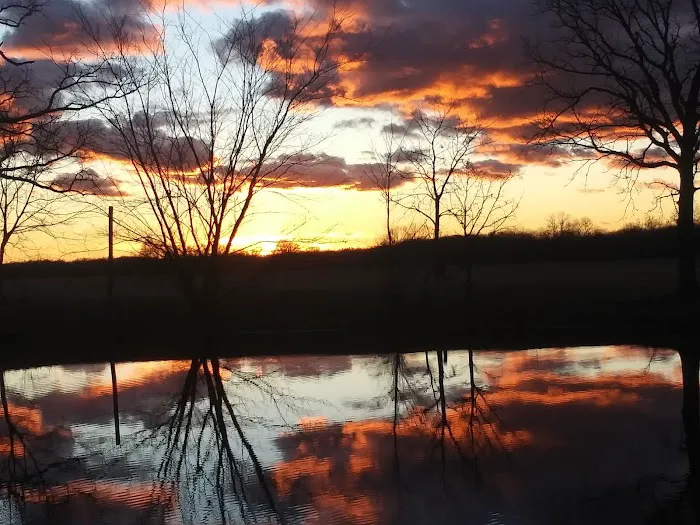 3 Mile RV Park Picture 5