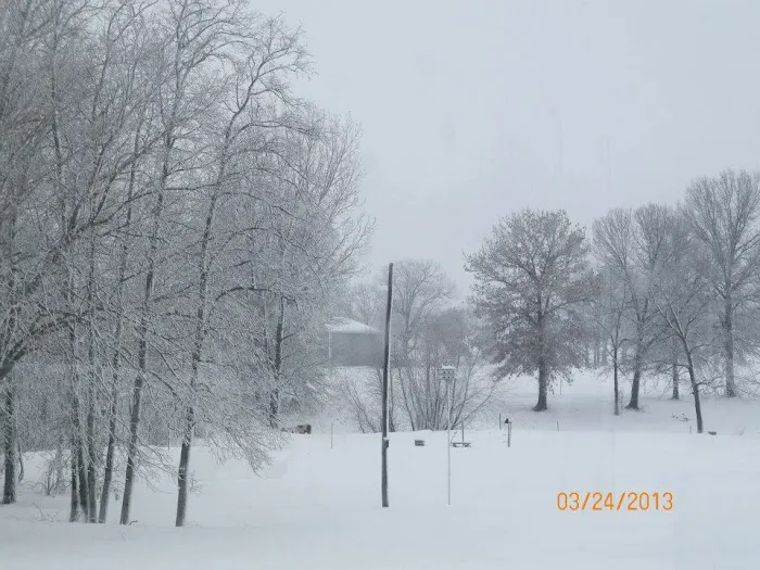 3 Mile RV Park Picture 4