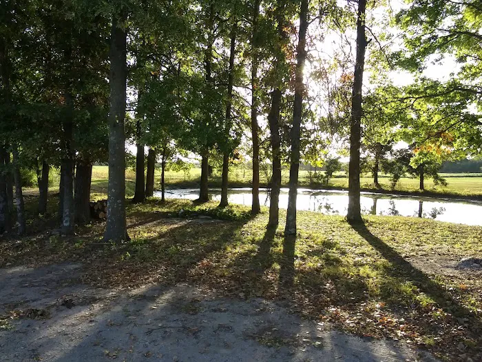 3 Mile RV Park Picture 6