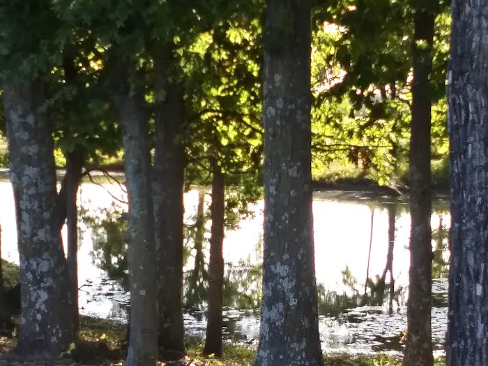 3 Mile RV Park Picture 9