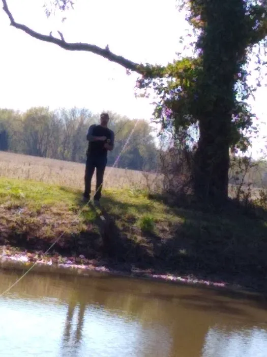 3 Mile RV Park Picture 8