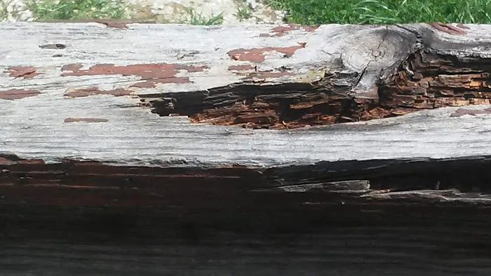 Country Horizon Mhp Picture 6