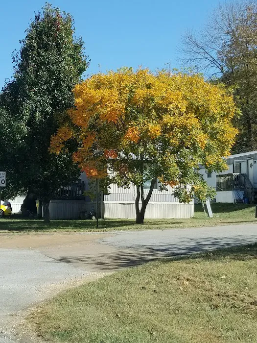 Sycamore Springs Picture 9