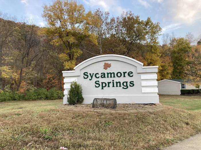 Sycamore Springs Picture 7