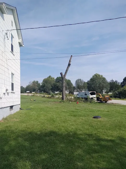 Chapel Hill Court Picture 3