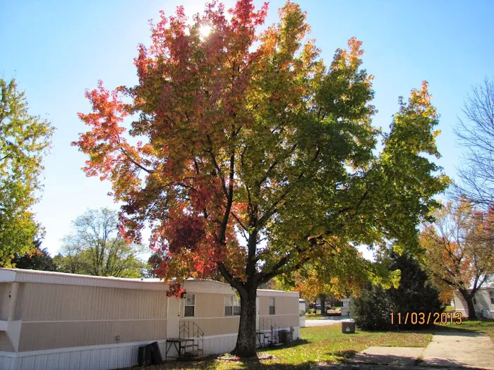 Golden Acres Mobile Home Community-Arnold Fenton Barnhart Imperial MO area Picture 10