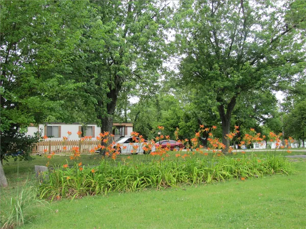 Golden Valley Picture 3