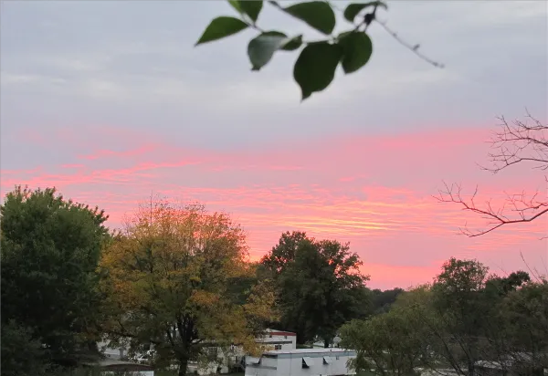 Golden Valley Picture 5