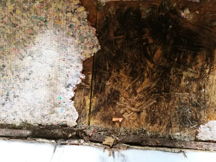 Quail Run of Imperial Manufactured Home Community Picture 8