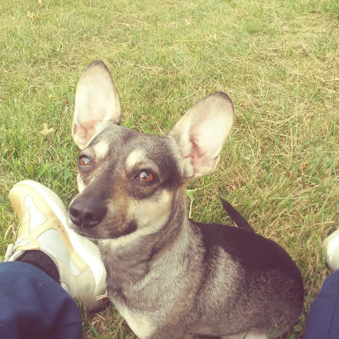 Hunning Hills Mobile Home Park Picture 3