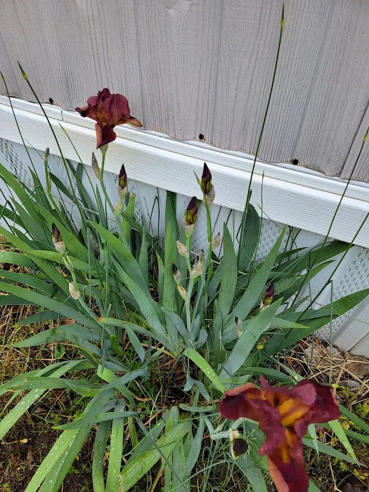 Country Acres Mobile Home Community Picture 1