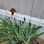 Country Acres Mobile Home Community