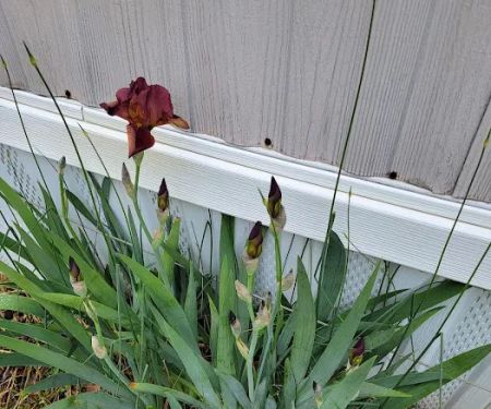 Country Acres Mobile Home Community