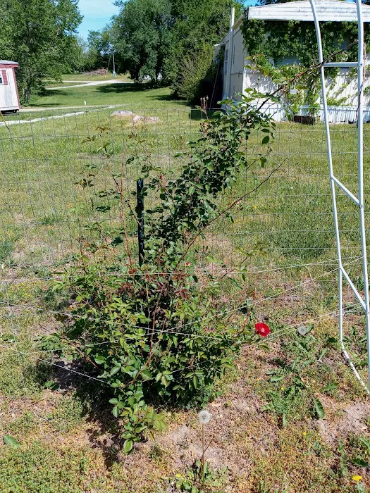 Country Acres Mobile Home Community Picture 5