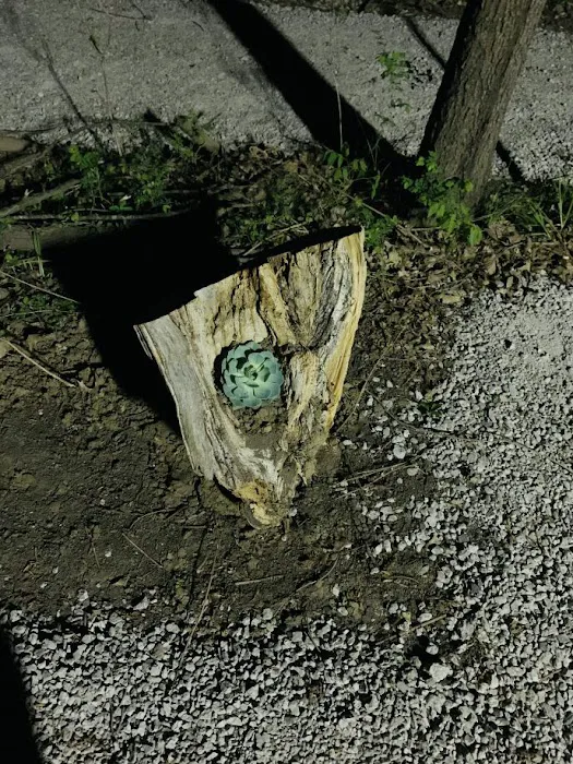 I-49 RV Park Picture 10