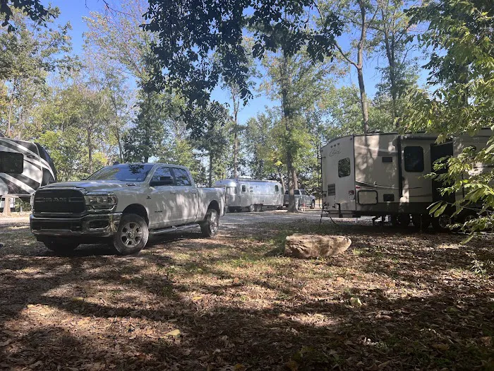 The Woods at Plaza Drive - RV Park Picture 2