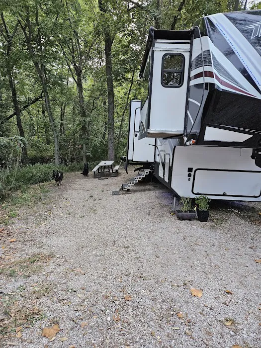 The Woods at Plaza Drive - RV Park Picture 5