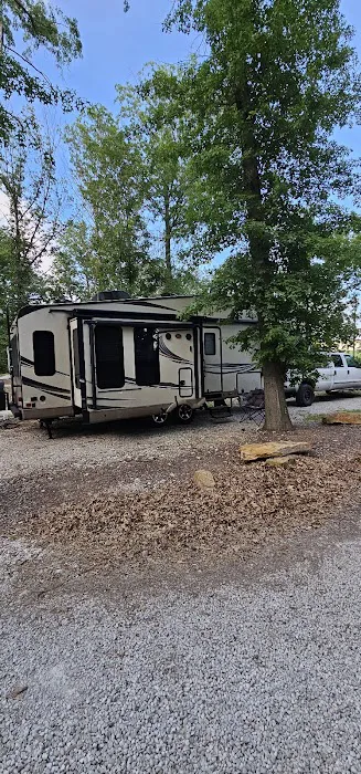 The Woods at Plaza Drive - RV Park Picture 3