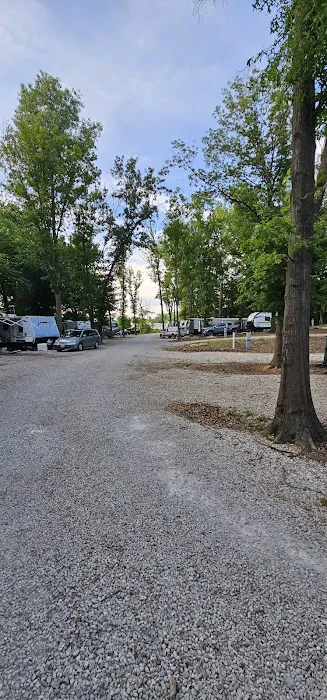 The Woods at Plaza Drive - RV Park Picture 7