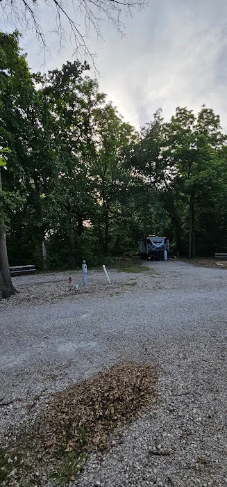 The Woods at Plaza Drive - RV Park Picture 6