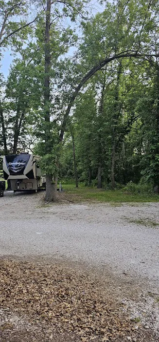 The Woods at Plaza Drive - RV Park Picture 10