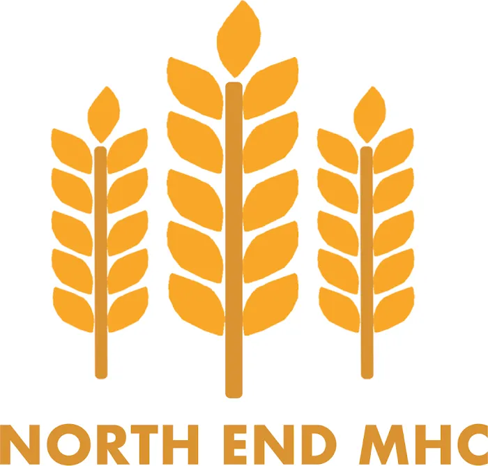 North End MHC - (Mobile Home Court) Picture 1
