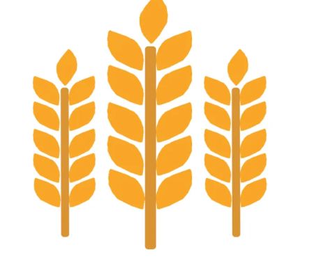 North End MHC - (Mobile Home Court)