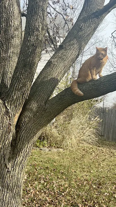 Vanguard mobile home park Picture 1