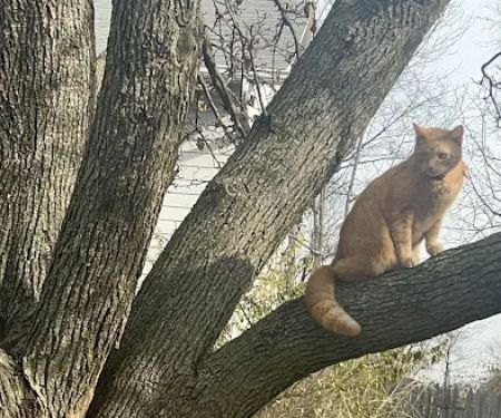 Vanguard mobile home park