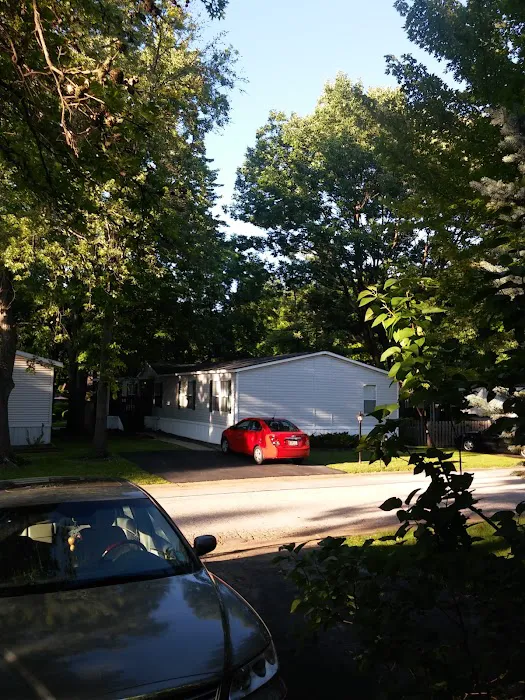 Eldorado Estates Mobile Home Picture 4