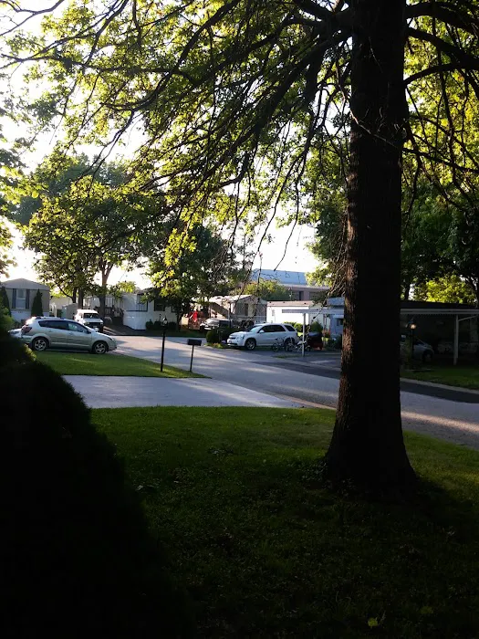 Eldorado Estates Mobile Home Picture 9