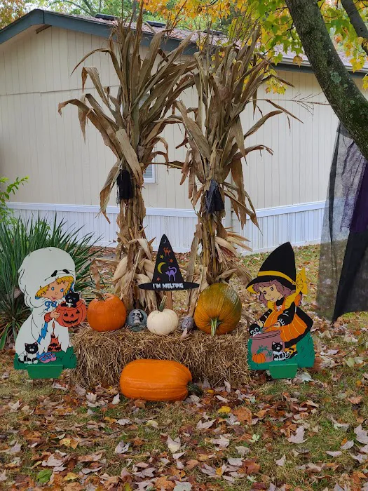 Siesta Manor Picture 7